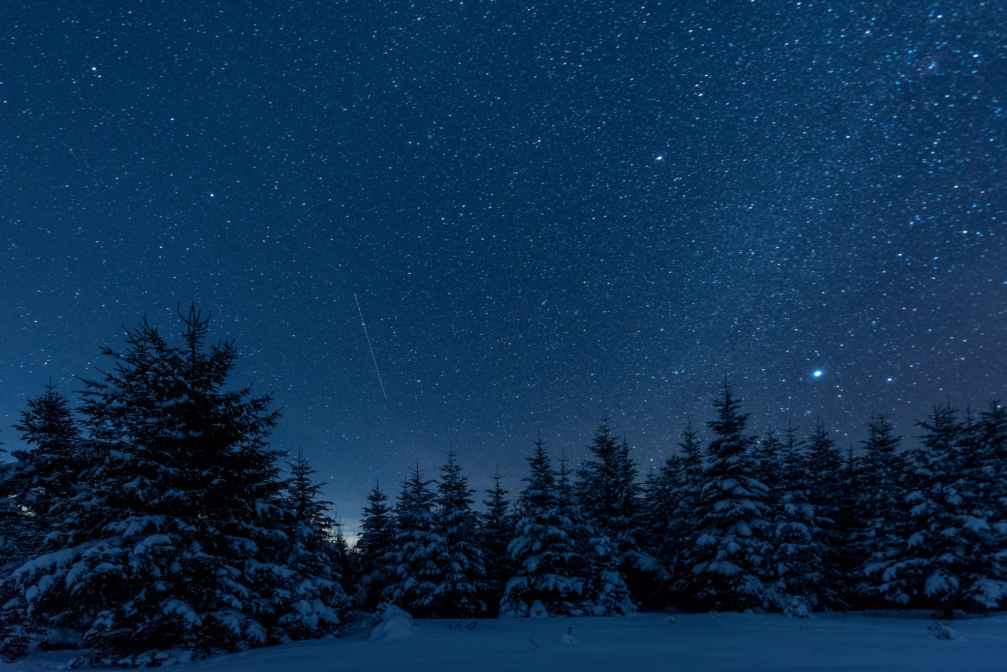 escursioni notturne in Val di Sole Trentino