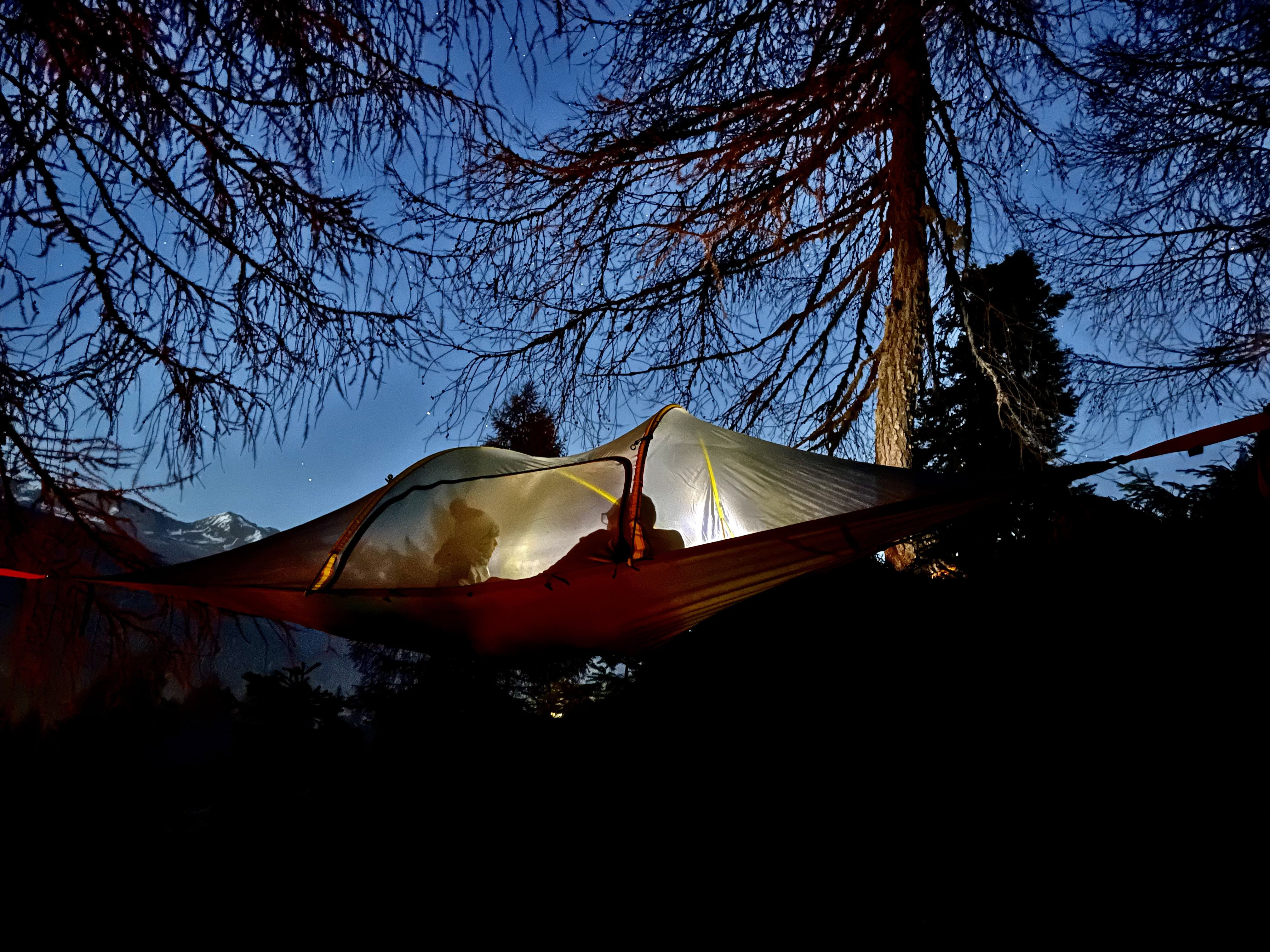 Forest Bathing Val Di Sole Trentino