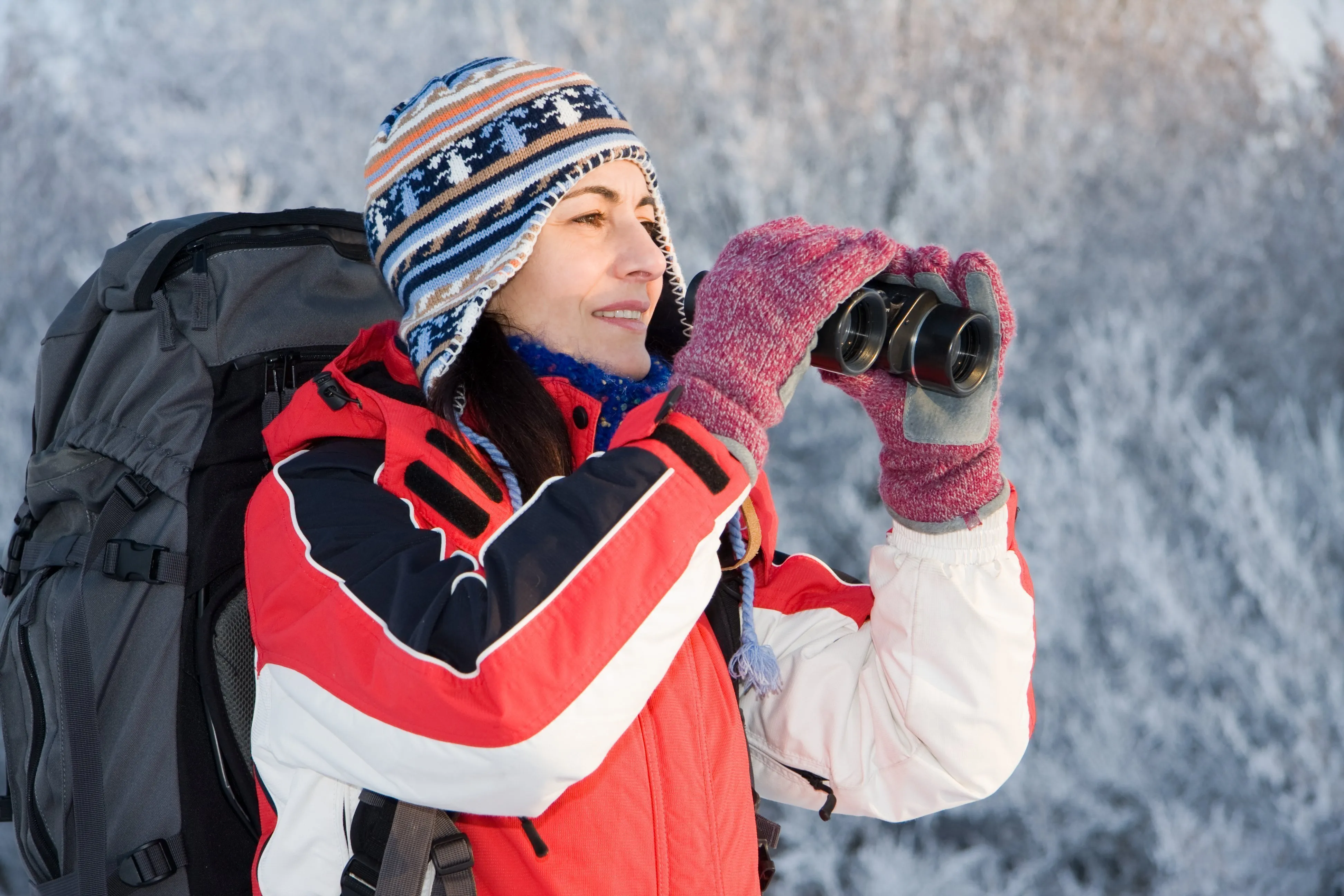 Inverno Wildlife Watching Val Di Sole